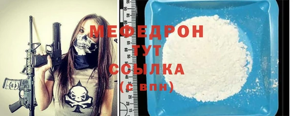 мдпв Гусев