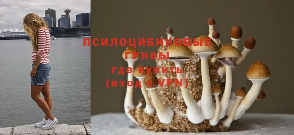 каннабис Гусиноозёрск