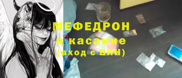 мдпв Гусев