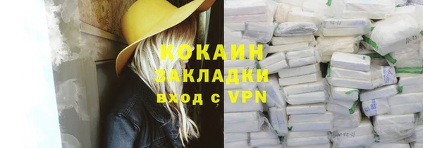 мдпв Гусев