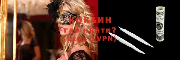 мдпв Гусев