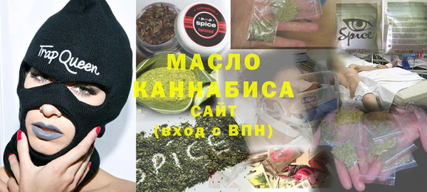 мдпв Гусев