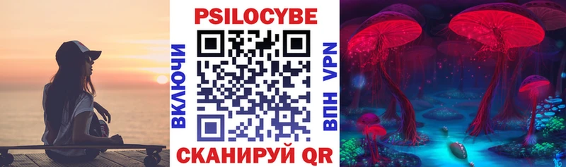 Псилоцибиновые грибы Psilocybe дарнет шоп Высоцк